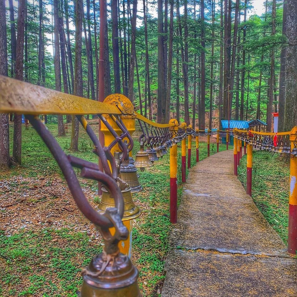 Photo of Non Commercialized Hill Station Near Delhi 8/10 by Grishma Anand