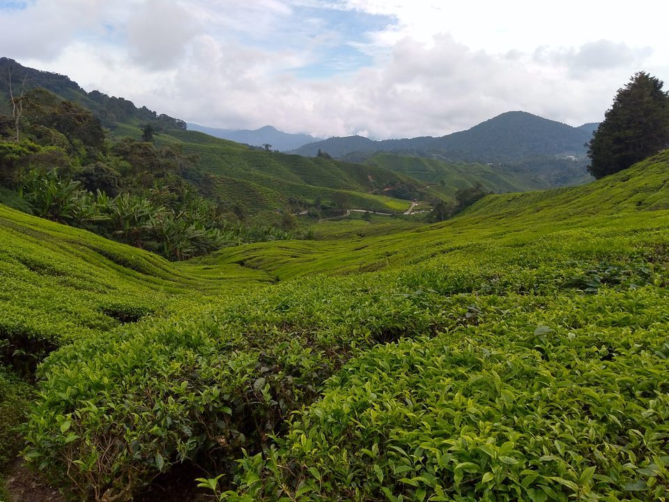 Photo of Cameron Highlands, Pahang, Malaysia by Krupal Shah
