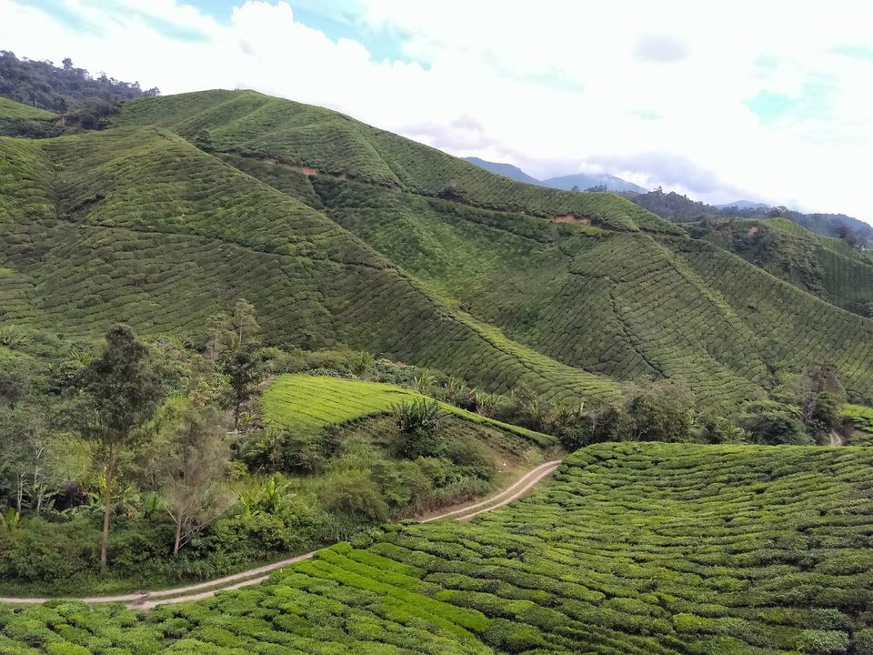 Photo of Cameron Highlands, Pahang, Malaysia by Krupal Shah
