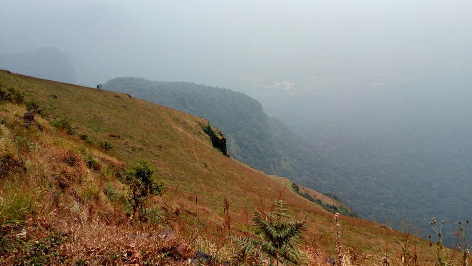 Photo of Kodachadri trek -A weekend getaway from Mangaluru by Chaithra Kowshik