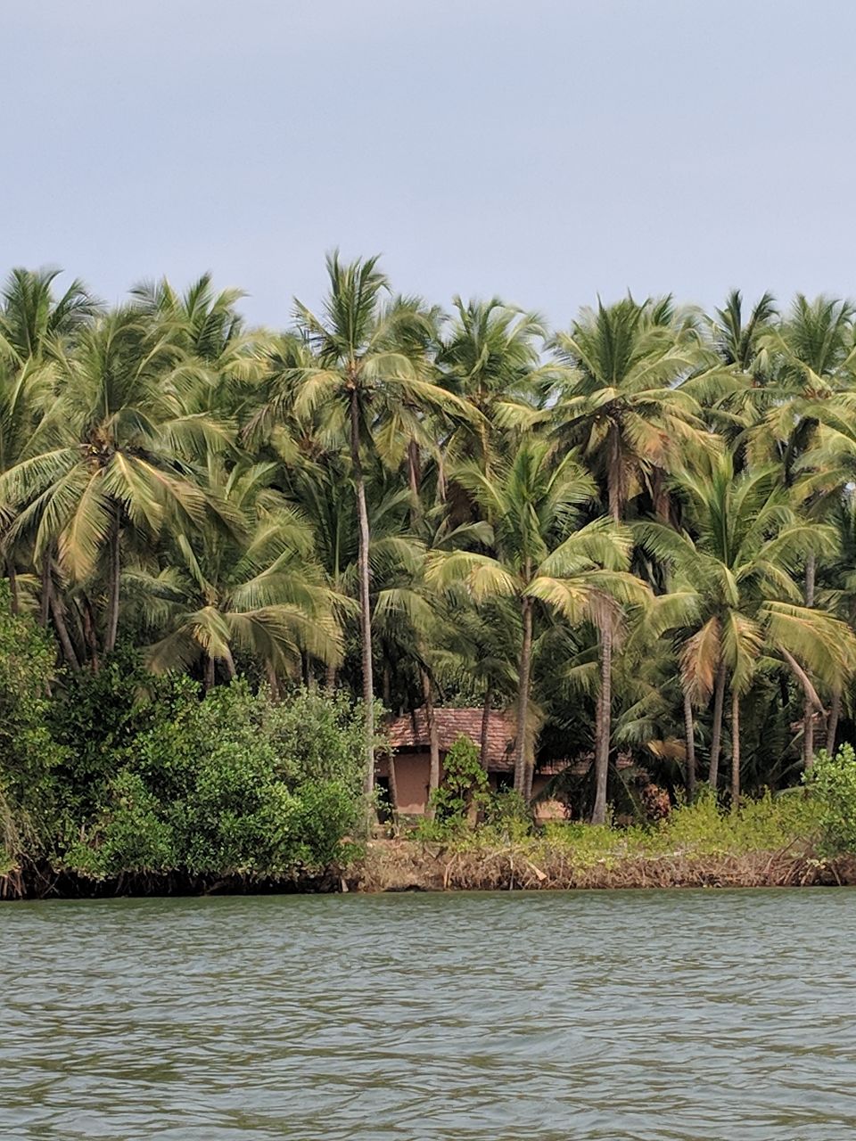 Photo of Exploring River Shambhavi - 25 km kayaking at Mulki adventure club (@mulki.in), Mangalore 2/4 by Chaithra Kowshik