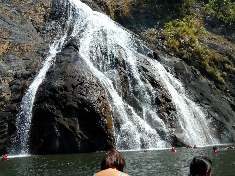 Photo of Dudhsagar Falls, Sonaulim, Goa, India by Reema Nandi