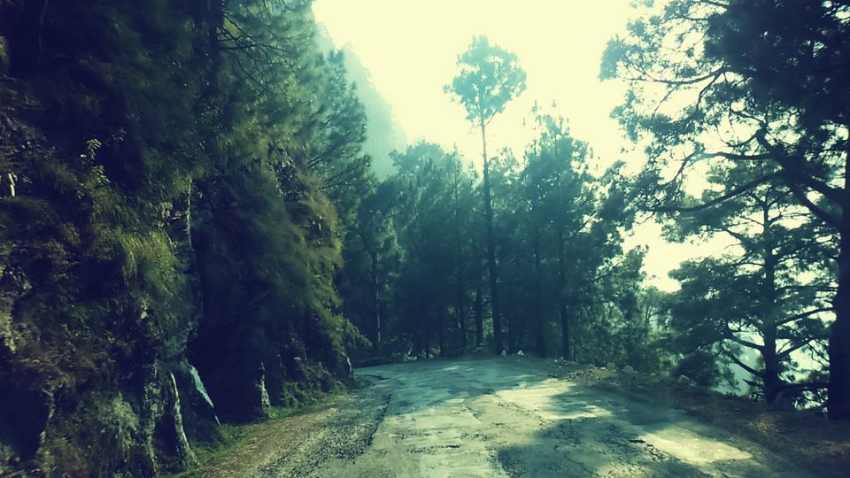 Photo of Amritsar-Dalhousie-Khajjiar by Rinki Popli