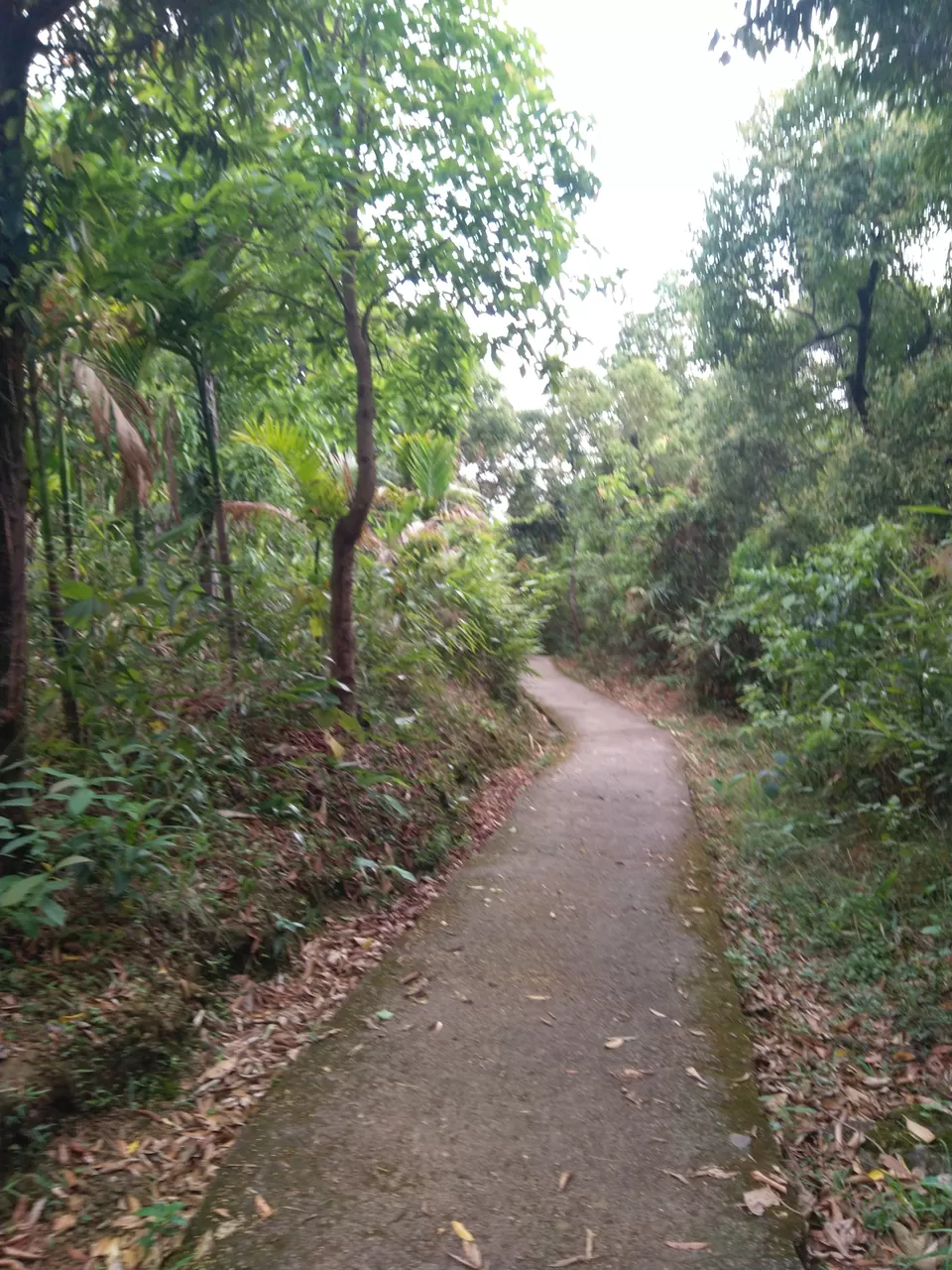 Photo of Mawlynnong, Meghalaya, India by Rinki Popli