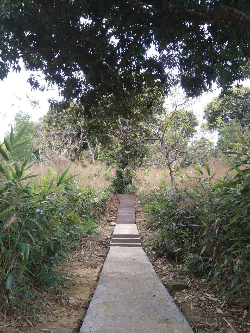 Photo of Mawlynnong, Meghalaya, India by Rinki Popli