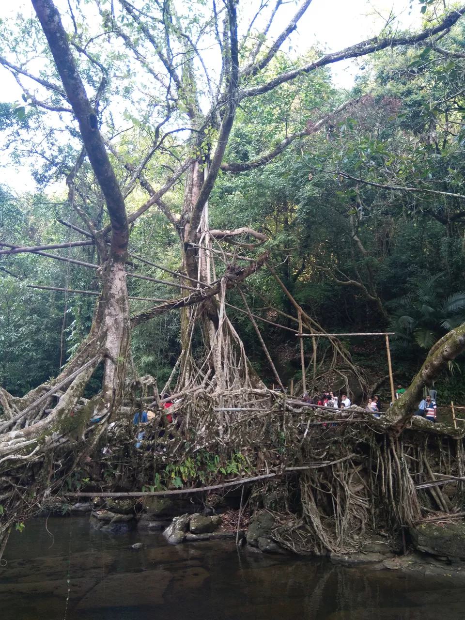 Photo of Mawlynnong, Meghalaya, India by Rinki Popli