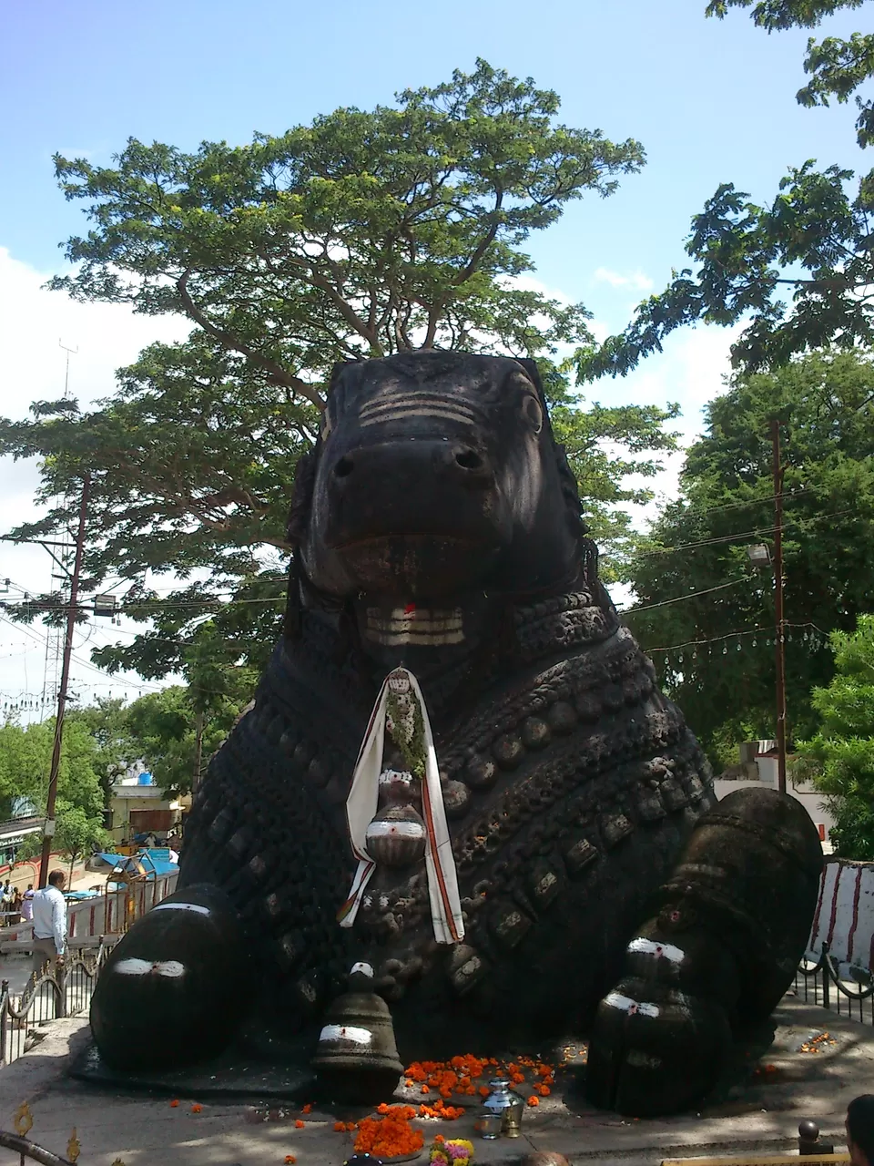 Photo of Southern Shades - Mysore and Ooty by Rinki Popli