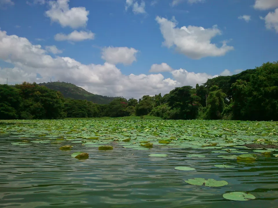 Photo of Southern Shades - Mysore and Ooty by Rinki Popli