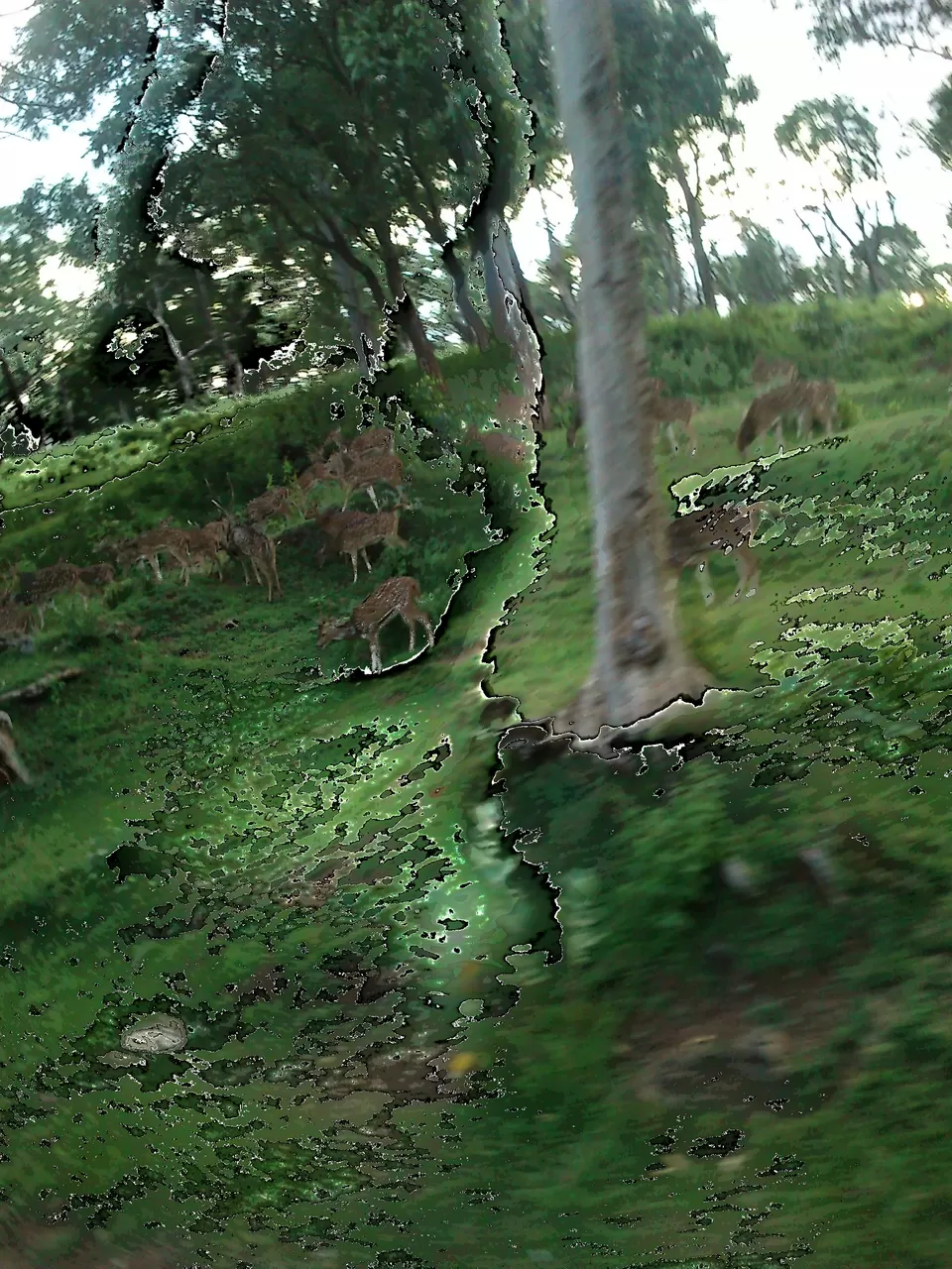 Photo of Ooty, Tamil Nadu, India by Rinki Popli
