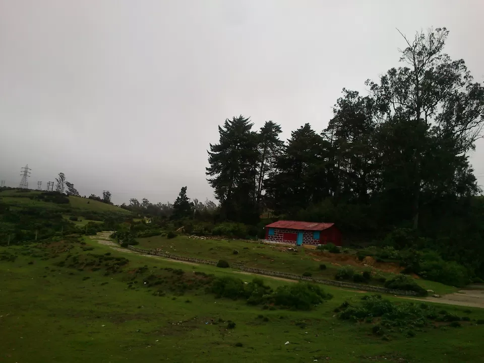 Photo of Ooty, Tamil Nadu, India by Rinki Popli