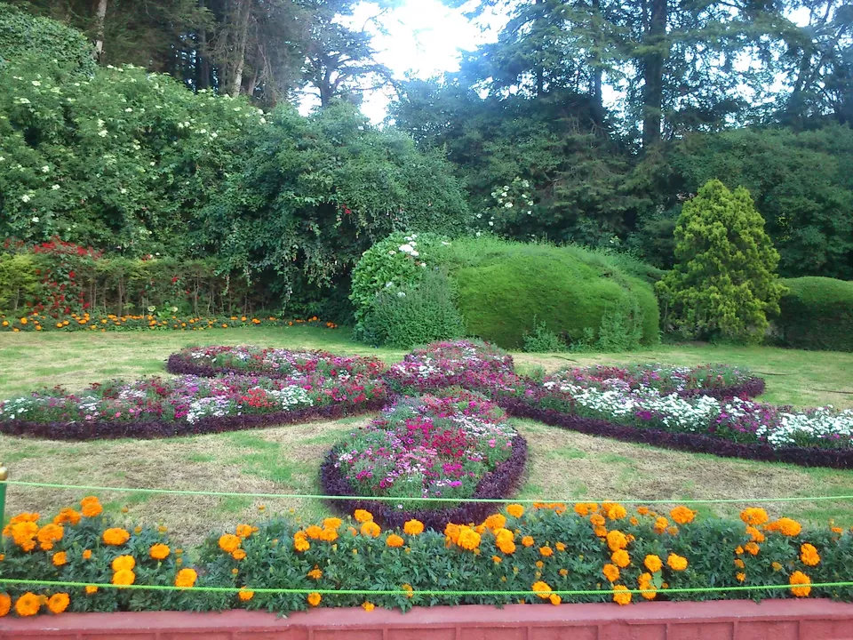 Photo of Ooty, Tamil Nadu, India by Rinki Popli