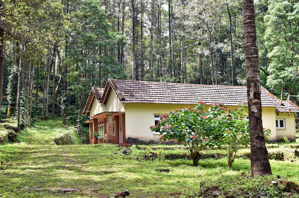 Photo of Just 4 hours from Bengaluru - Chikmagalur can be your detox destination! #indiain5k 2/21 by Marsha Das