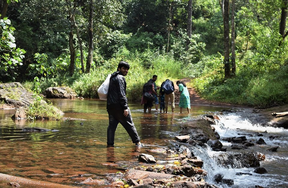 Photo of Just 4 hours from Bengaluru - Chikmagalur can be your detox destination! #indiain5k 14/21 by Marsha Das