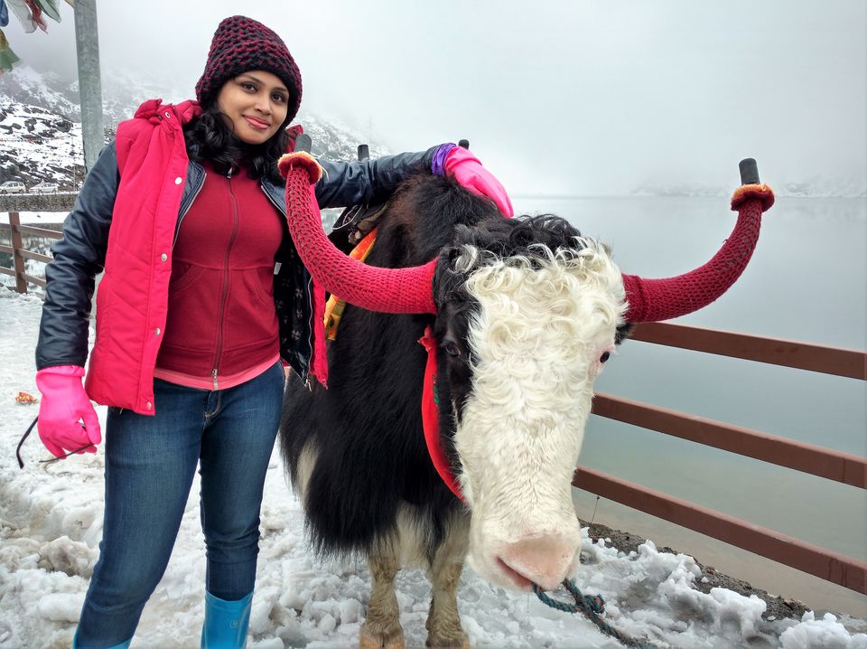 Photo of Bad weather can give you great memories: My first snow experience at Tsongmo Lake! #photosofsnow 10/16 by Marsha Das