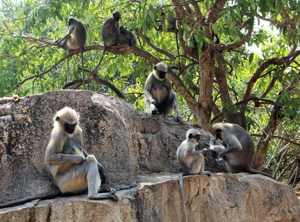 Photo of The best of Hampi in 2 days - a visual itinerary...#Hampipictures #IssSummerBaharNikal by Marsha Das