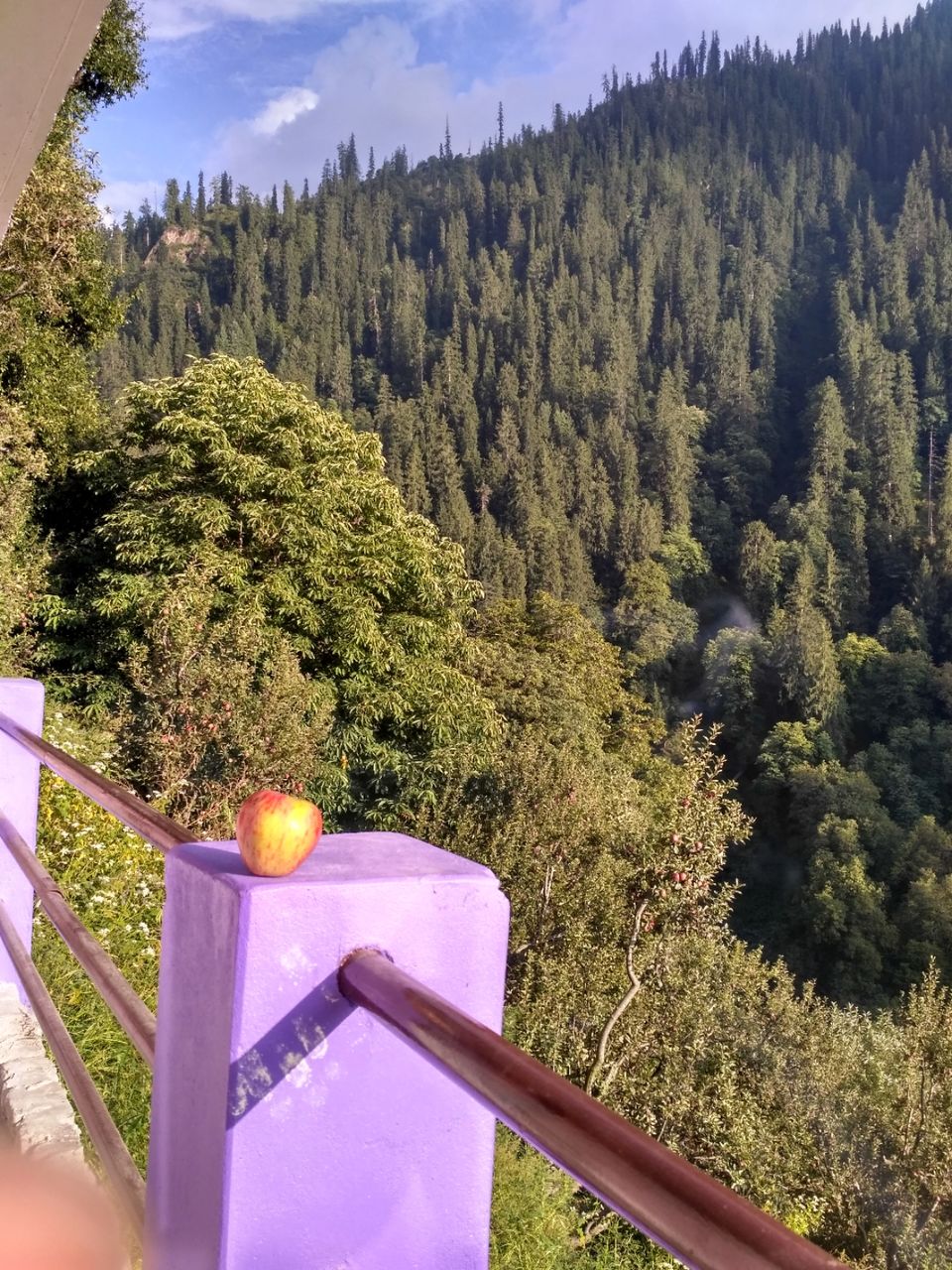 Photo of parvati Valley, Khir Ganga, Himachal Pradesh, India by ashi.gupta77