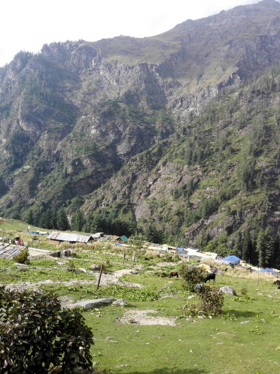 Photo of parvati Valley, Khir Ganga, Himachal Pradesh, India by ashi.gupta77