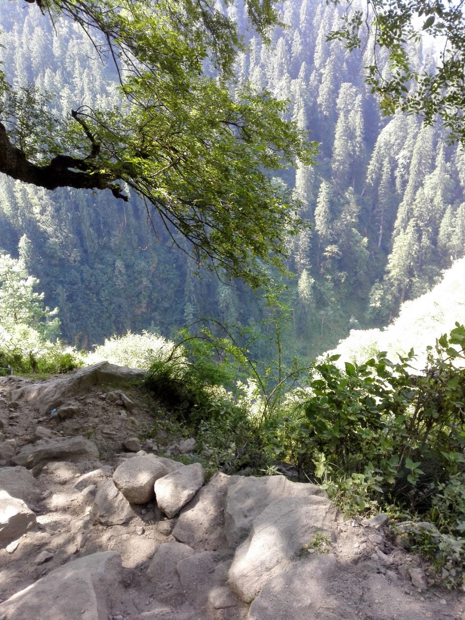 Photo of parvati Valley, Khir Ganga, Himachal Pradesh, India by ashi.gupta77