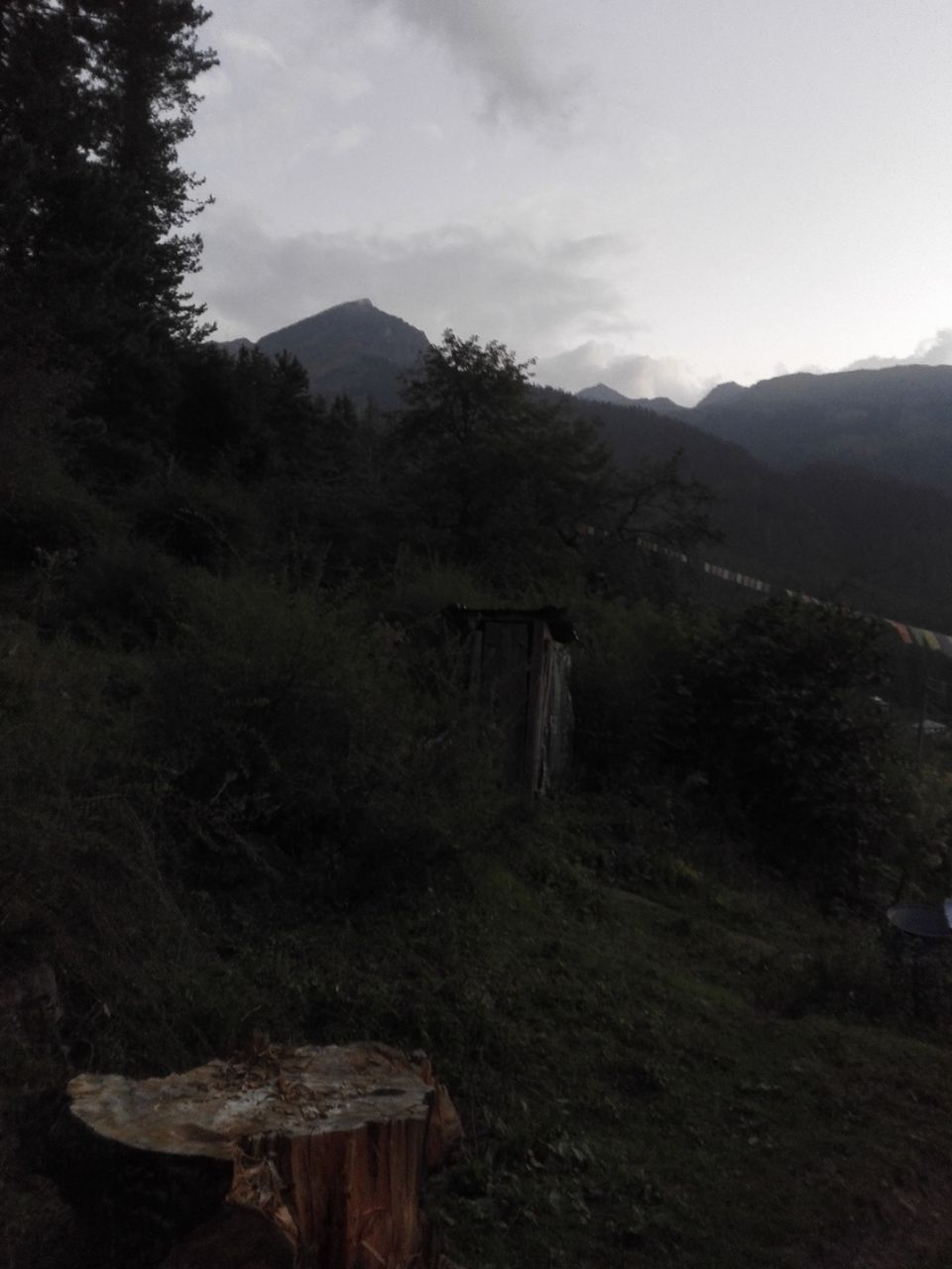 Photo of parvati Valley, Khir Ganga, Himachal Pradesh, India by ashi.gupta77