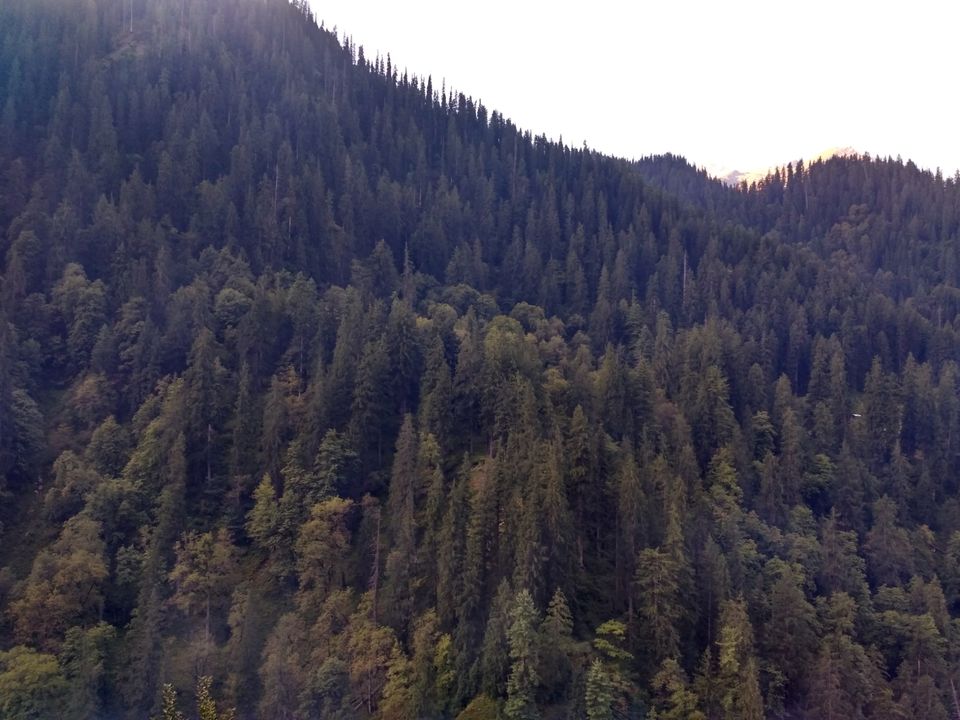 Photo of parvati Valley, Khir Ganga, Himachal Pradesh, India by ashi.gupta77