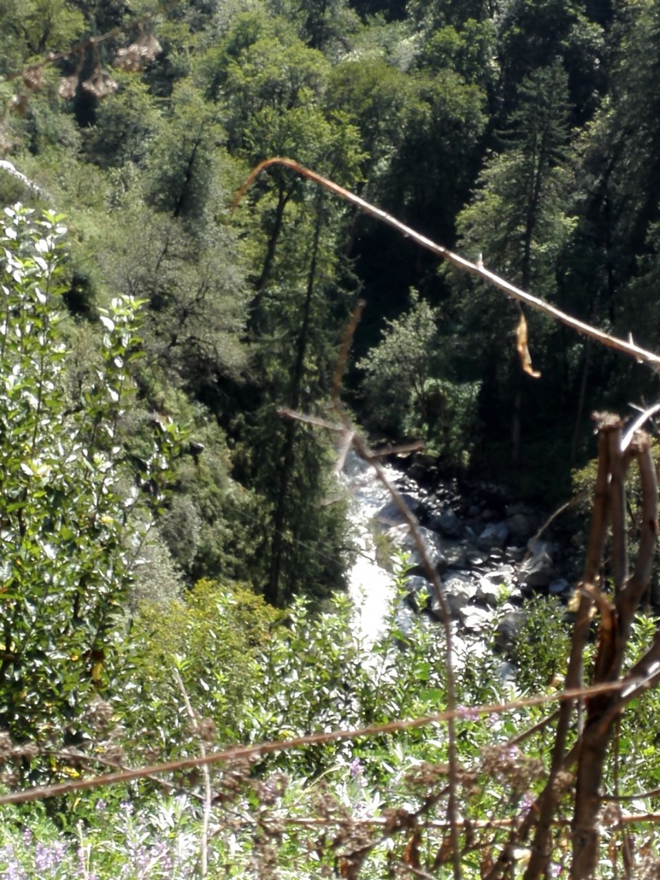 Photo of parvati Valley, Khir Ganga, Himachal Pradesh, India by ashi.gupta77