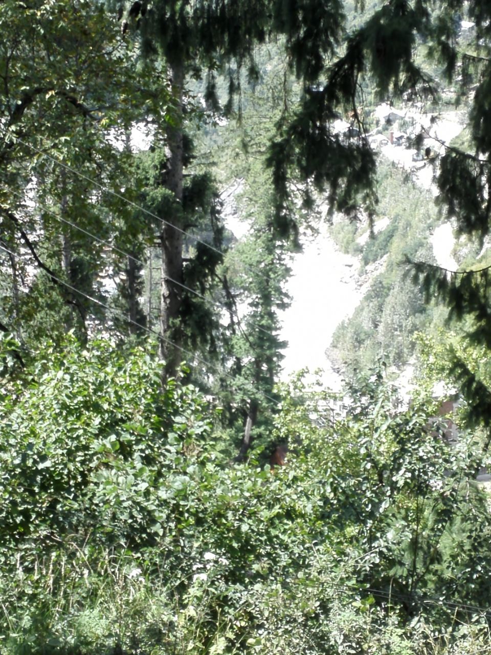 Photo of parvati Valley, Khir Ganga, Himachal Pradesh, India by ashi.gupta77