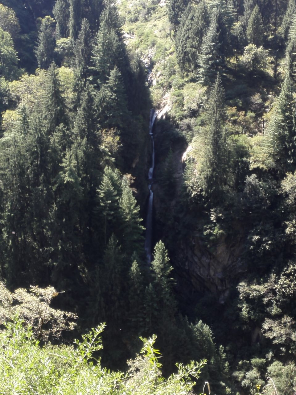 Photo of parvati Valley, Khir Ganga, Himachal Pradesh, India by ashi.gupta77