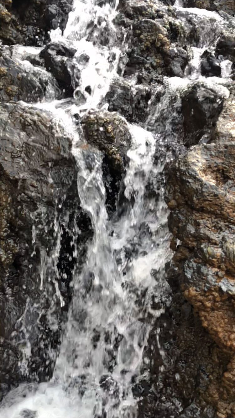 Photo of Trip To Dalma Hills by Sahil Sharma