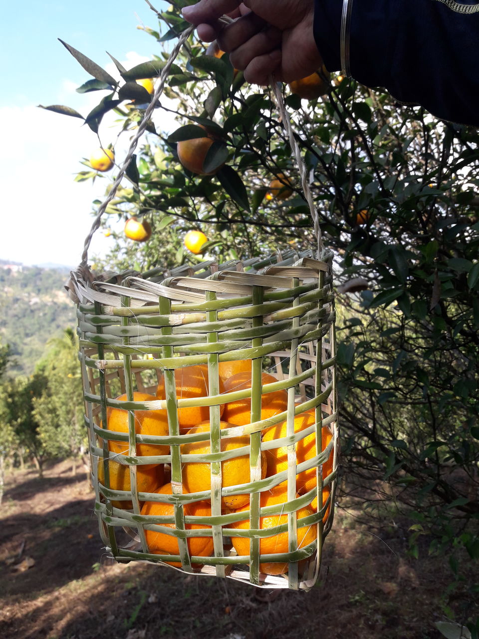 Photo of Dima Hasao - Nature & Serendipity Abound 5/19 by Just Travel
