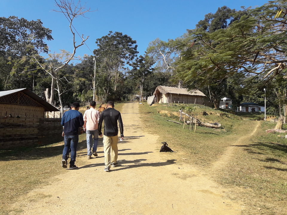 Photo of Dima Hasao - Nature & Serendipity Abound 12/19 by Just Travel