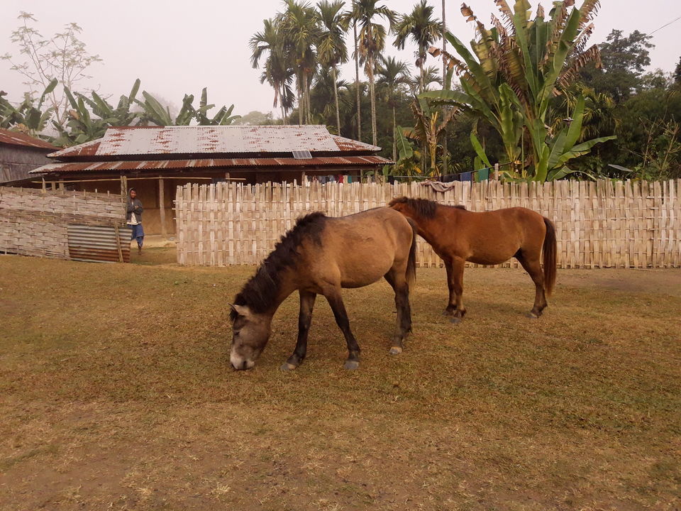 Photo of Dima Hasao - Nature & Serendipity Abound 13/19 by Just Travel