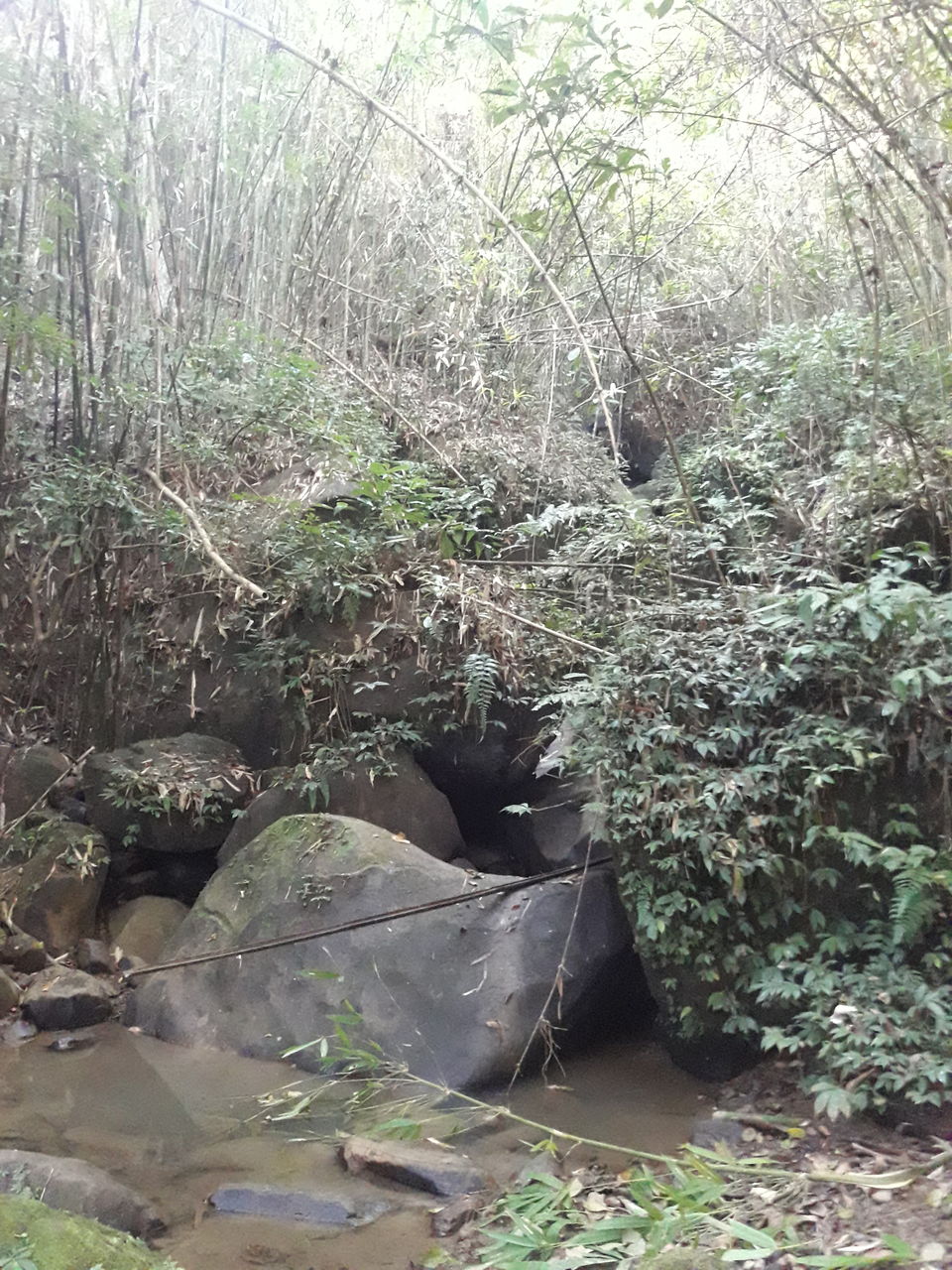 Photo of Dima Hasao - Nature & Serendipity Abound 17/19 by Just Travel