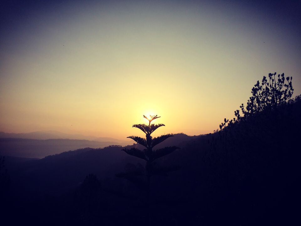 Photo of Kausani, Uttarakhand, India by Criminal Singh