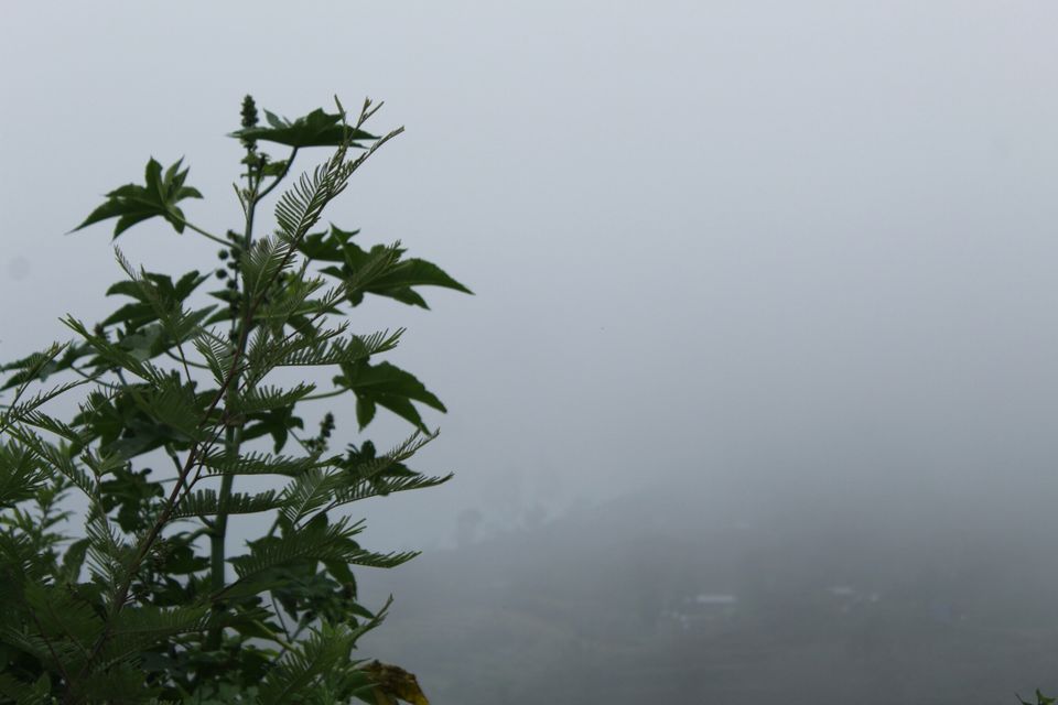Photo of Kodaikanal Lake, Kodaikanal, Tamil Nadu by vague_rover