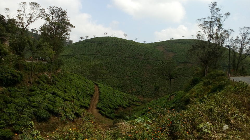 Photo of Periyar Tiger Reserve, Kumily, Kerala, India by Swati Keshri