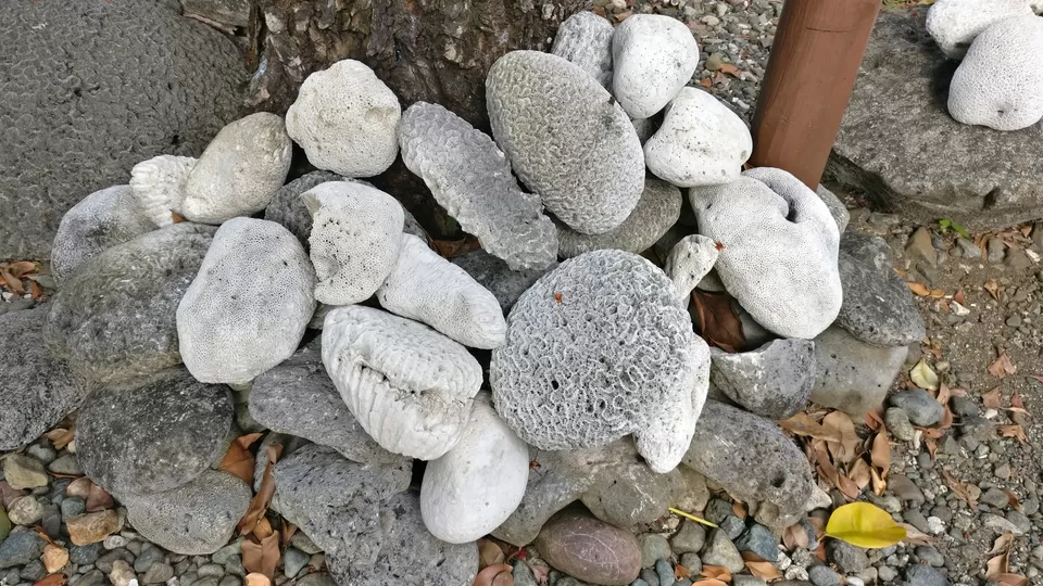 Photo of Moricedera Beach, India by Swati Keshri