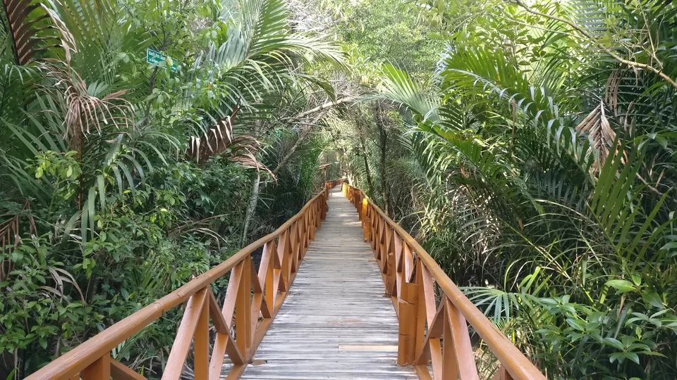 Photo of Mud Volcano, Andaman and Nicobar Islands, India by Swati Keshri