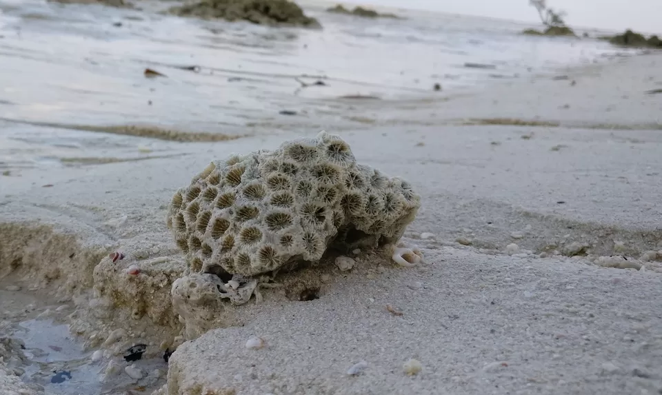 Photo of Kala Pathar Beach, Andaman and Nicobar Islands, India by Swati Keshri