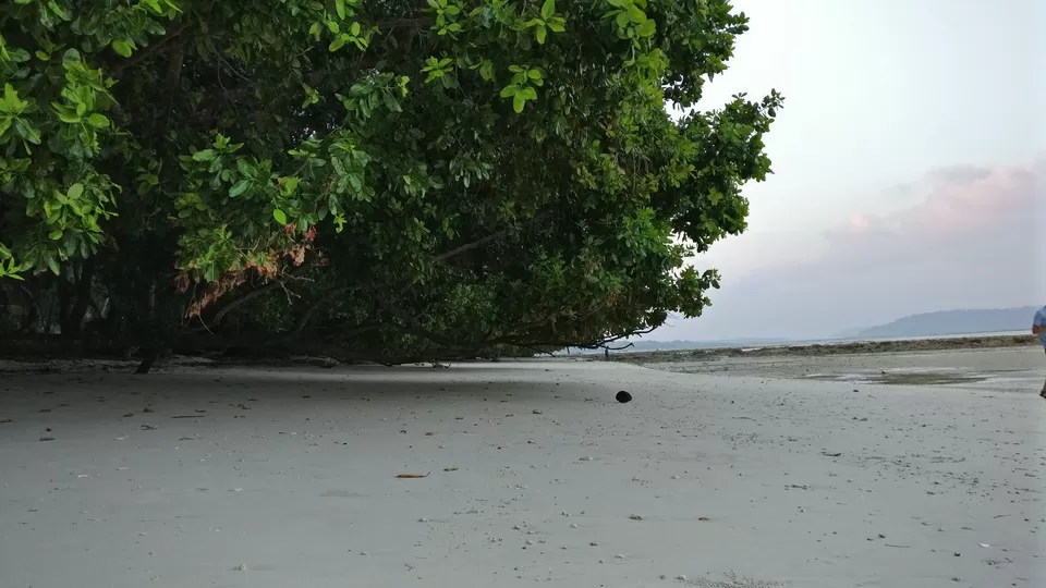 Photo of Kala Pathar Beach, Andaman and Nicobar Islands, India by Swati Keshri