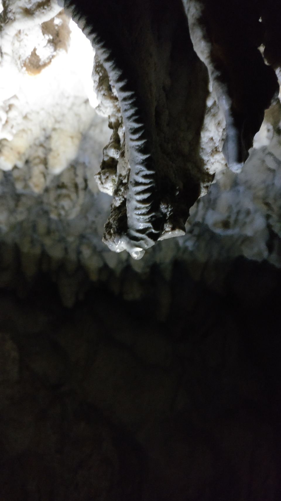 Photo of Limestone Cave, Andaman and Nicobar Islands, India by Swati Keshri