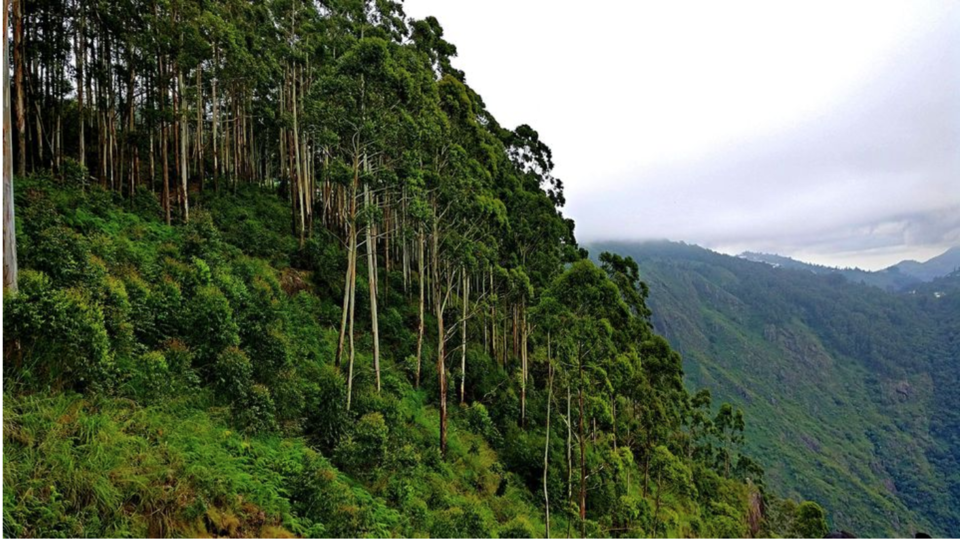 Photo of Mountain View Point, Kodaikanal, Tamil Nadu, India by Swati Keshri