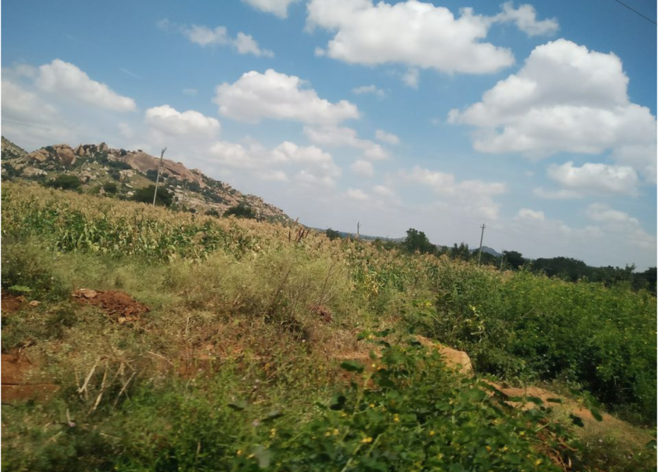 Photo of Avalabetta Hill Top View Point, Yerramaranahalli, Karnataka, India by Swati Keshri