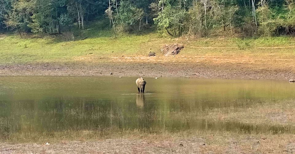 Photo of Periyar Tiger Reserve, Kumily, Kerala, India by Swati Keshri