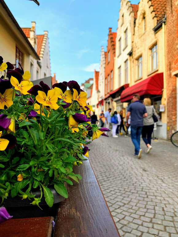 Photo of Bruges - The Enchantress! by Swati Keshri