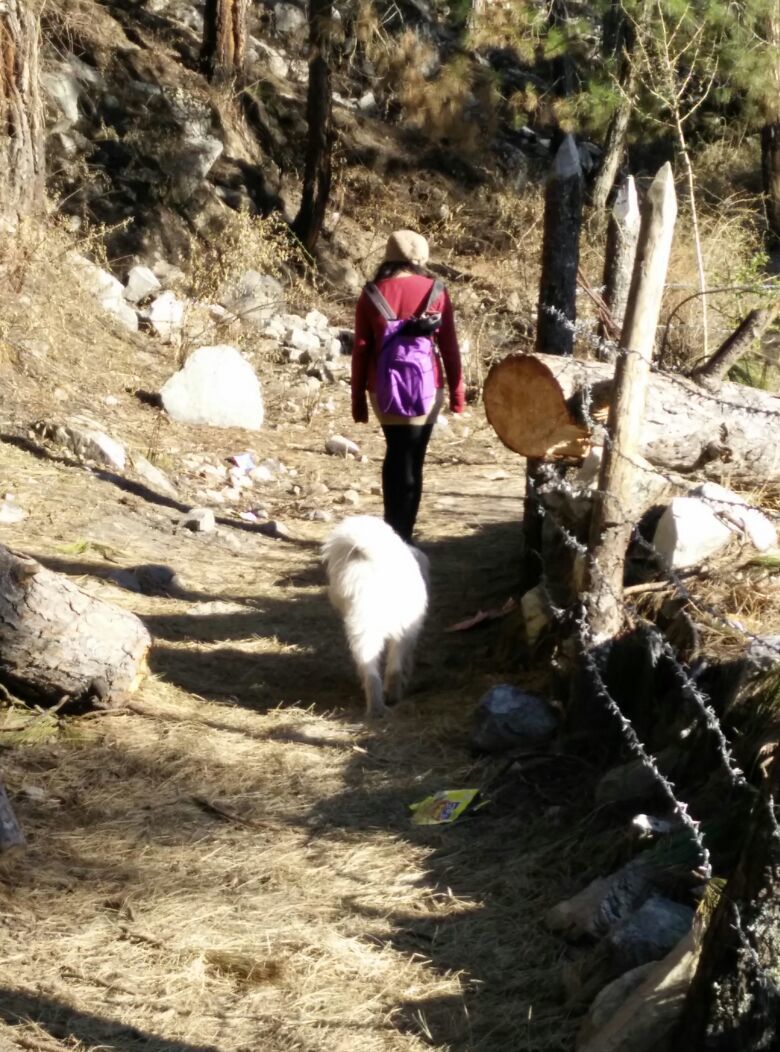 Photo of Through the wilderness of Parvati valley 8/11 by Suhani