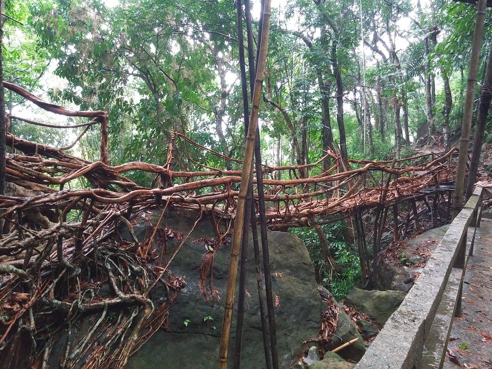 Photo of Cherrapunji- lives to its hype 3/3 by Vivek