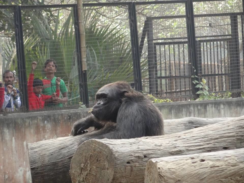 Photo of Alipore Zoo by Shaunak Bhattacharjee