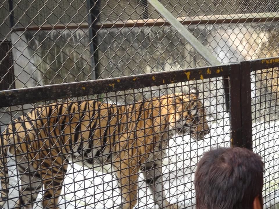 Photo of Alipore Zoo by Shaunak Bhattacharjee