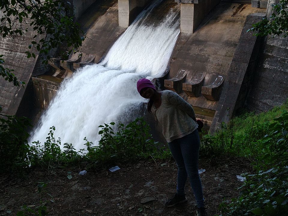 Photo of How Munnar mesmerized me by Shaunak Bhattacharjee