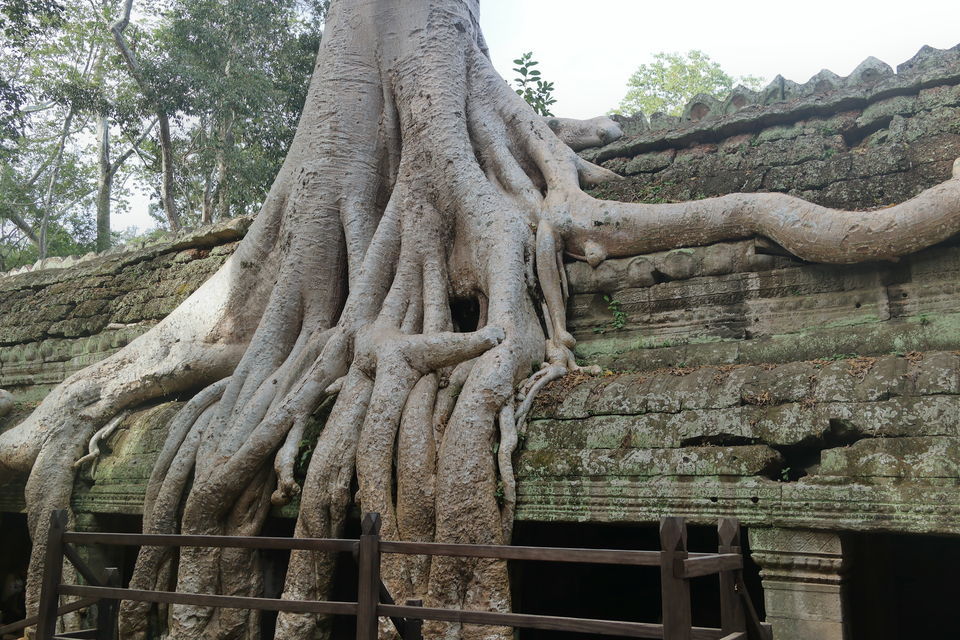 Photo of Mystical Charms of Angkor Wat 7/8 by SOHFI HAMID
